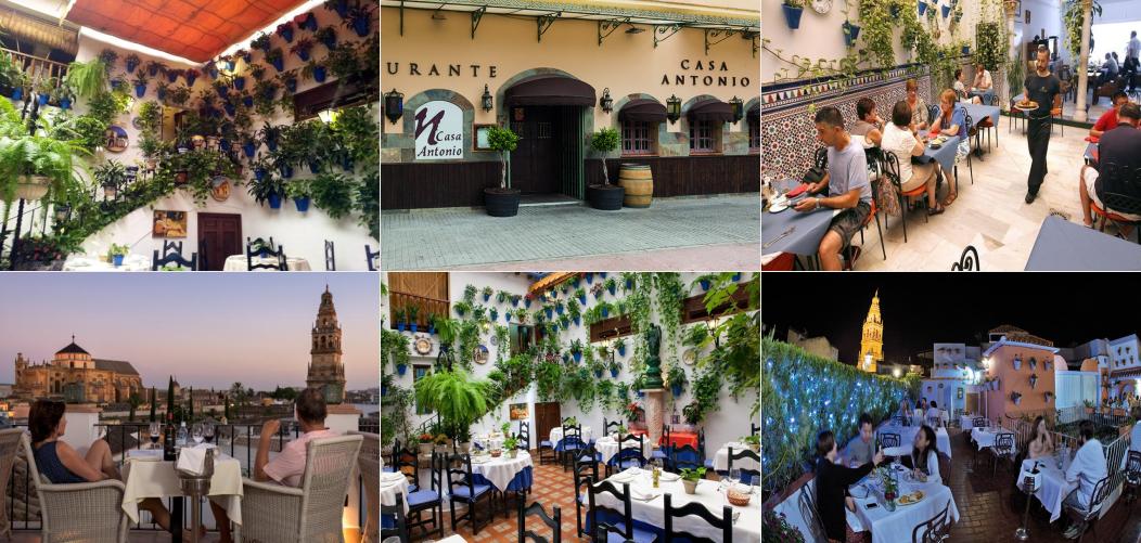 /7-beneficios-de-comer-en-los-mejores-restaurantes-de-cordoba/media/collage1.jpeg