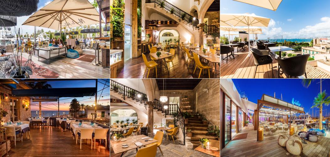 /7-beneficios-de-comer-en-los-mejores-restaurantes-de-palma/media/collage1.jpeg /7-beneficios-de-comer-en-los-mejores-restaurantes-de-palma/media/collage1.jpeg